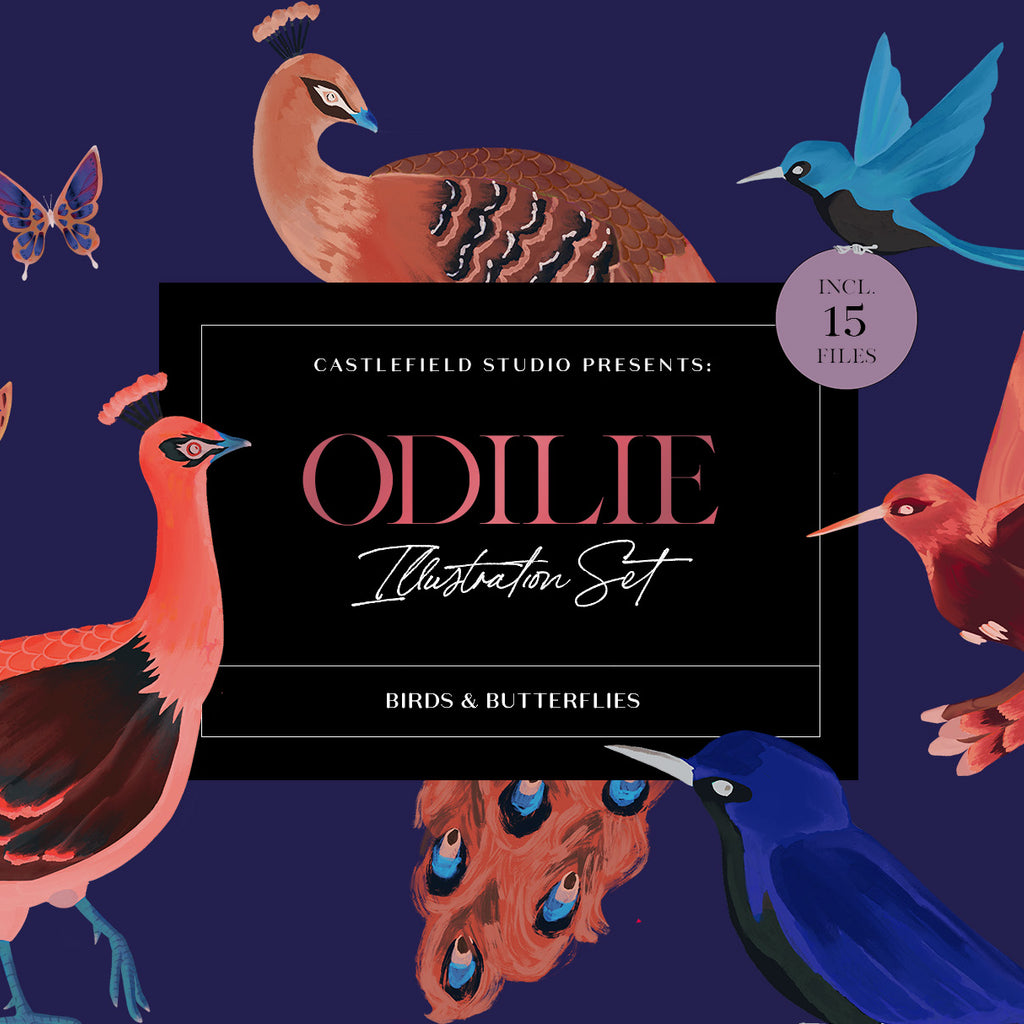 Odilie Birds & Butterflies Illustration Set