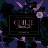 Odilie Floral Illustration Set