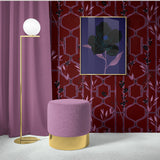 Odilie Illustration Set MEGA BUNDLE