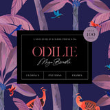 Odilie Illustration Set MEGA BUNDLE