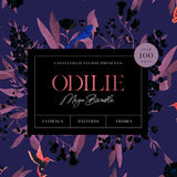 Odilie Illustration Set MEGA BUNDLE