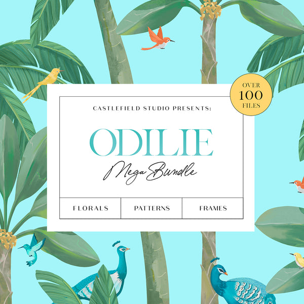 Odilie Illustration Set MEGA BUNDLE