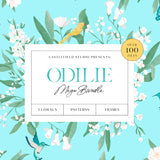 Odilie Illustration Set MEGA BUNDLE