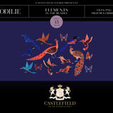 Odilie Birds & Butterflies Illustration Set