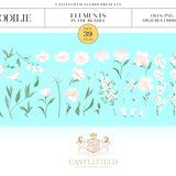 Odilie Floral Illustration Set
